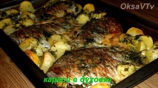 караси в духовке. carp in the oven