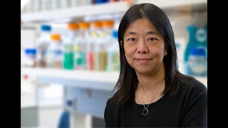 Scientist Stories: Vivian Cheung, Beyond DNA  Sequence variation in the RNA