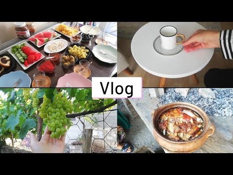 Karışık Vlog / Tedi turu / kahvaltı / köyde bir gün / sessiz vlog