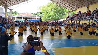 field demonstration of grade 3 of naga central elementary school