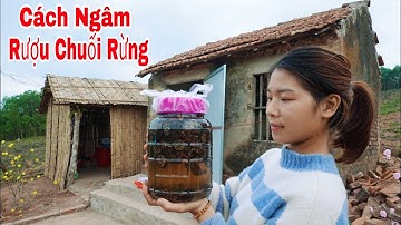 Cách Ngâm Rượu Chuối Rừng Đơn Giản