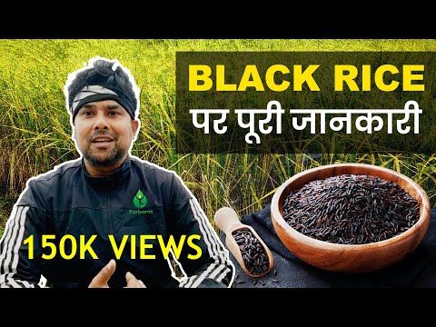वीडियो: काले चावल का उपयोग कैसे करें