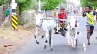 |அவனியாபுரம் மோகன் சாமி குமார்| தேவகோட்டை பிரசாத் மொபைல்ஸ்|கோட்டையூர் கணேசன்|கொட்டக்குடி ஆனந்தன்|