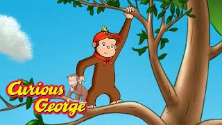 george gets lost in the woods curious george kids cartoon kids movies