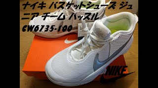 ナイキ バスケットシューズ ジュニア チーム ハッスル D 10 CW6735 100