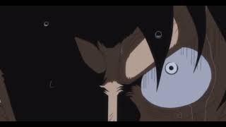 Luffy Punches Sanji Eng Dub