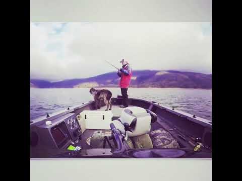 Swimbait fishing for Murray Cod in winter ️ is a tough gig 