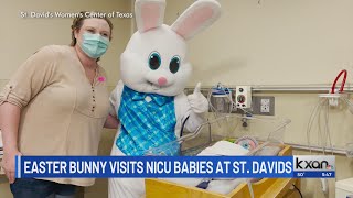 Easter bunny visits NICU babies at St. David's