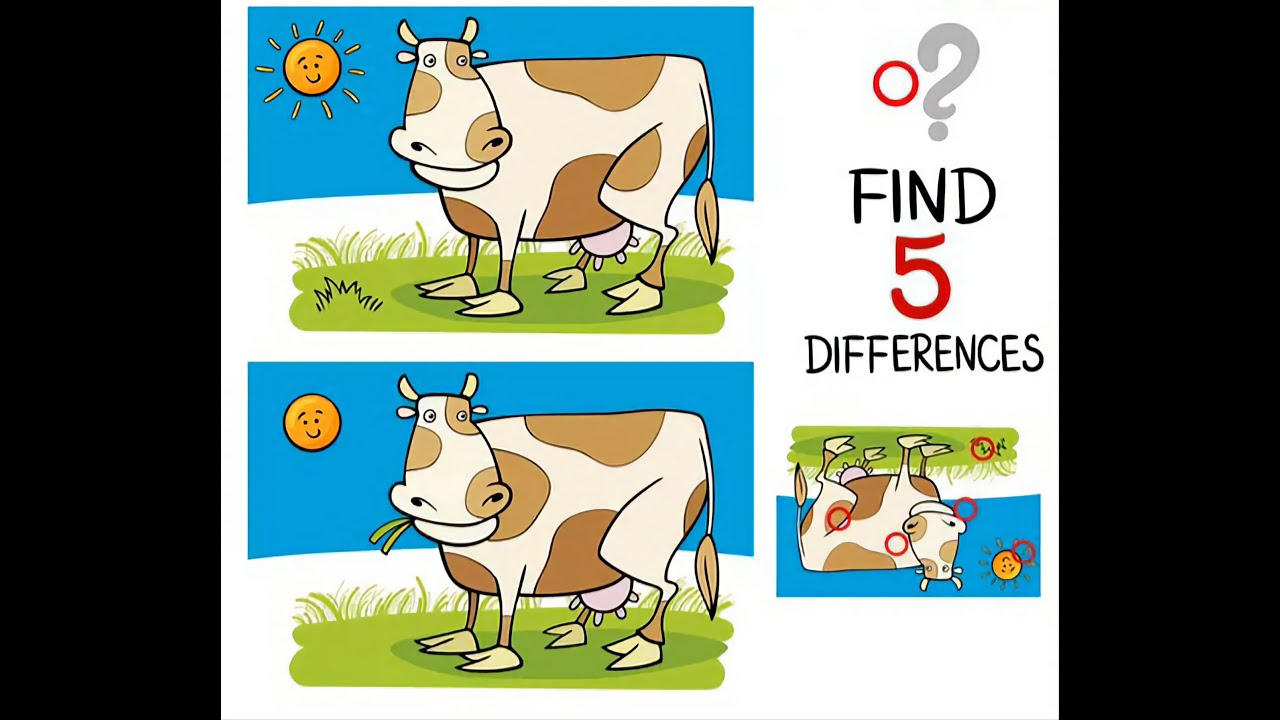 Spot the Differences , Brain Games - Video