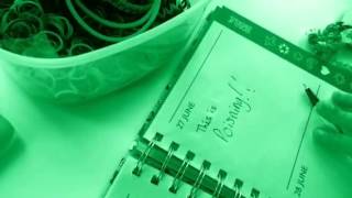 Dear dumb diary fan video