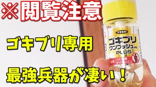 【閲覧注意】今すぐできる害虫駆除。一般家庭向けゴキブリ駆除商品が最強兵器で凄かった！全編Google Pixel5（内臓マイク）で撮影。