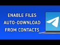 How To Enable Files Auto-Download From Contacts On Telegram On PC