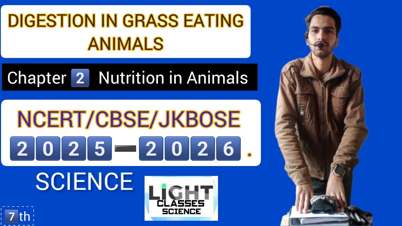 DIGESTION IN GRASS EATING ANIMALS || CLASS 7️⃣th || Chapter 2️⃣ ...