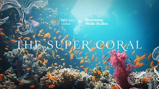 The Red Sea Super Coral | Presented by Red Sea Global