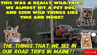 THE CRAZIEST ROAD TRIP FOR FACEBOOK MARKETPLACE FIND SO FAR ALL THAT HAPPENED AND SEEN!! 