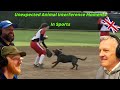 Most Unexpected Animal Interference Moments in Sports REACTION!! | OFFICE BLOKES REACT!!