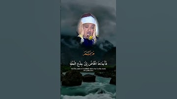 قارئ لا يكرر مثله في التاريخ... 🥺😢😭 صاحب (الحنجرة الذهبية) #القارئ الشيخ عبد الباسط  #القرآن_الكريم