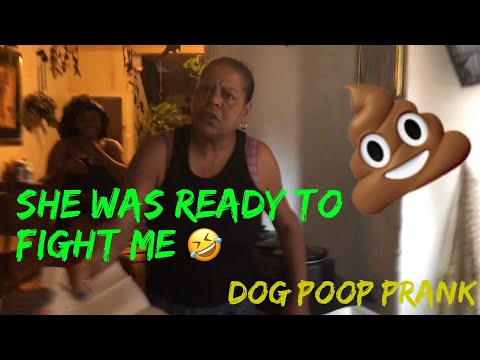 dog-poop-prank-on-mom-||-flawless-shanti