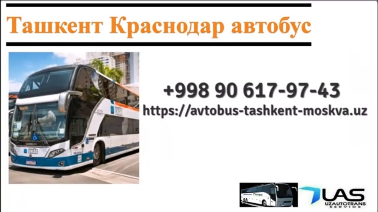 Билеты краснодар ростов на дону автобус. Краснодар Ташкент автобус. Краснодар Ташкент. Ozbegiston qirasnadar aftobuz. Автобус Москва Краснодар.