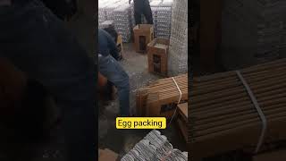 Egg Packing in Carton Box | Safe Egg Packing Tips | Poultry Farming #egg