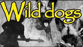 Wild Dogs - Machiel Roets & ITB