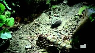 The Mill US Showreel 2011 - YouTube.flv