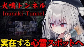 領国つかさの配信のサムネイル画像