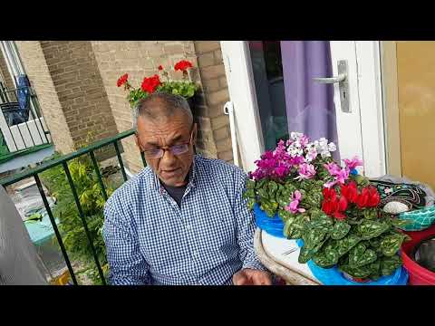 მიწა ხატია_ხატია მიწა.