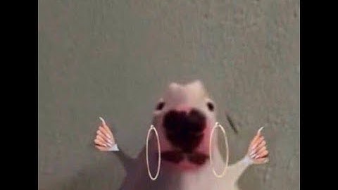 videos saved on my phone with no context (pt. 6)