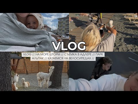 VLOG // НА МОРЕ ШТОРМ // СЪЕМКА В АДЛЕРЕ // ПАРК АЛЬПАК // КАТАЕМСЯ НА ВЕЛОСИПЕДАХ //