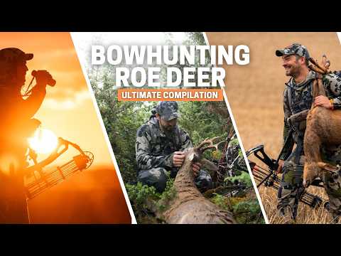 Epic Roe Deer Bow Hunting Compilation | Part 1: Mastering Roe Buck Season