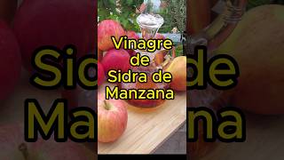 Cómo usar el Vinagre de Manzana