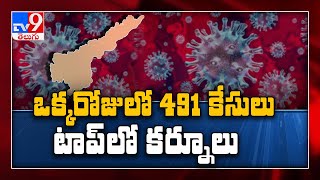 AP reports 491 new Covid 19 cases, five deaths - TV9