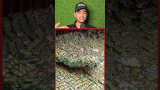 1000 kg Ka Saman Ship Se Nikala #shorts