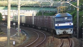 2015/09/10 JR貨物 貨物列車5054レ EF210-103[吹]号機＋コキ24B 東海道本線