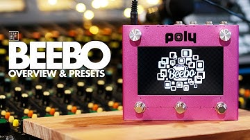 Poly Effects Beebo - Part 1 - Overview & Presets