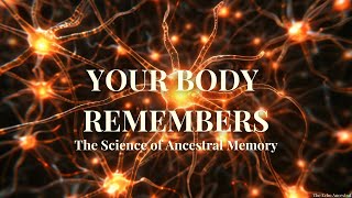 The Echo in Your DNA: How Ancestral Memory Shapes Your Nervous System