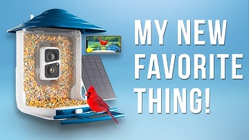 AWESOME Dzees Smart Bird Feeder with HD Camera Review!