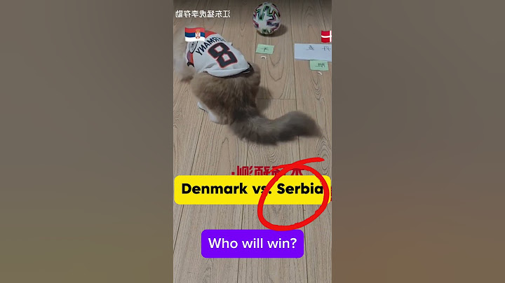Cat predicts Euro 2024 | France vs Poland | England vs Slovenia #euro2024  ##england  #france