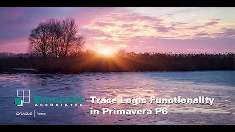 Trace Logic Functionality in Primavera P6