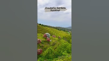 Beauty of Uttarakhand 🏔️ | Ranikhet, Almora | #shorts #short #viral #uttarakhand #archuyogikiduniya