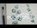 How To Paint Eucalyptus: Watercolor Techniques Explained