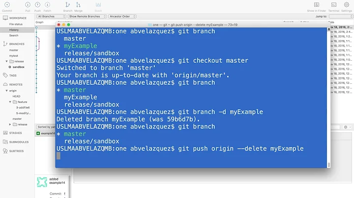 Git (SourceTree) : Delete remote and local branches