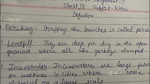 Bhartiyam Public School /class 4/Science/Revision Assignment 8,9