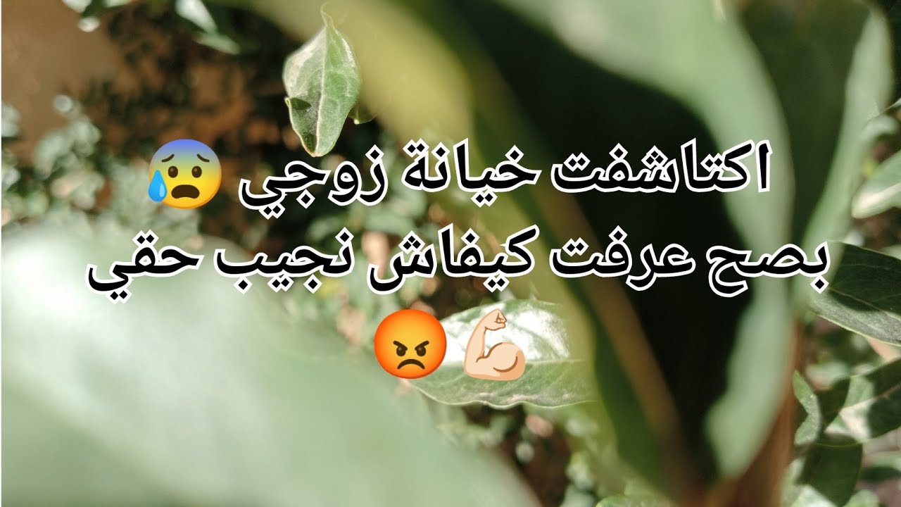 اكتشفت خيانة زوجي 😰 بصح عرفت كيفاش نجيب حقي ونحافظ عليه 😡💪🏻