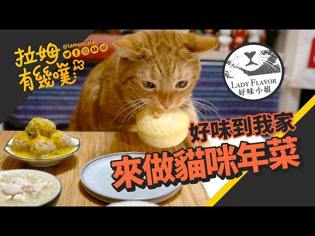 ►拉姆有幾噗◄ 貓咪年菜到我家 ft.好味小姐┃New years food for cat ♤