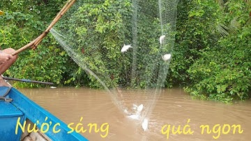 Vớt cá mùa nước mới. Trời hừng sáng cá ăn có bầy | Săn bắt SÓC TRĂNG |