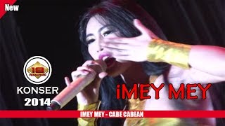 IMEY MEY - CABE CABEAN (LIVE KONSER SUKABUMI 2014)