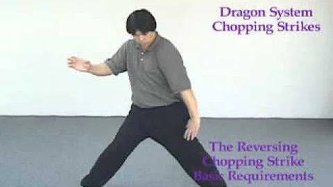 Yin style dragon bagua zhang