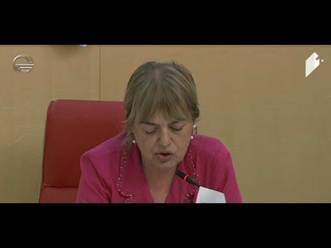 ხათუნა გოგორიშვილმა პარლამენტის სხდომა ჩაშალა - რა მოხდა სხდომათა დარბაზში